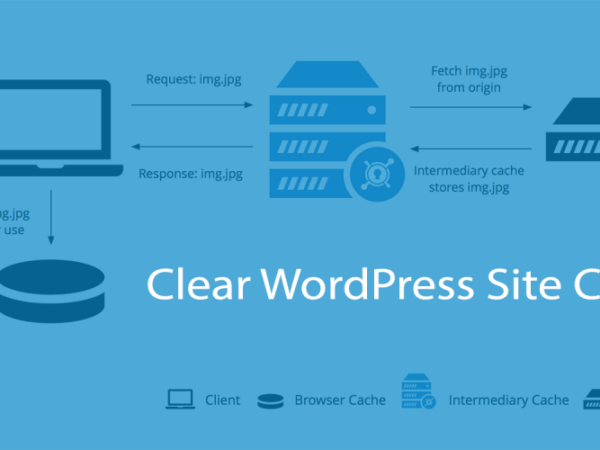 Can You Clear WordPress Cache Without Plugins?