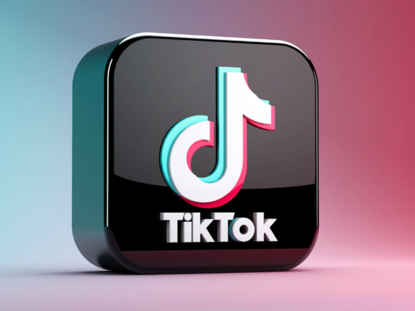 Using a TikTok Counter to Check Influencer Followers