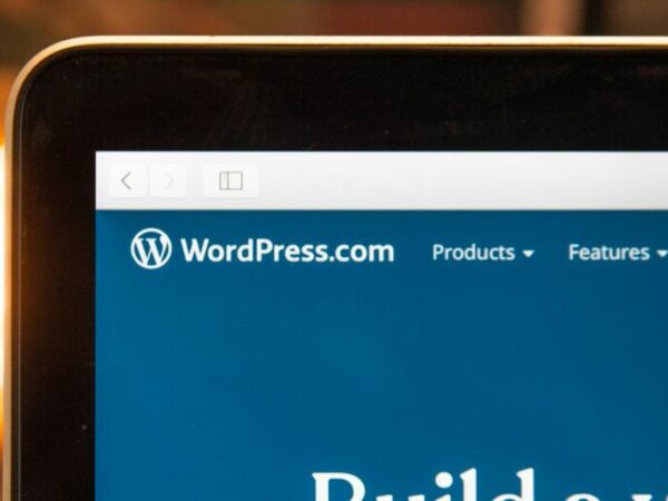 The 5 Best Chrome Extensions for WordPress Users