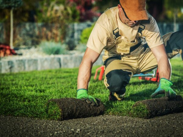4 Proven Marketing Tips for Success: Landscaping Business